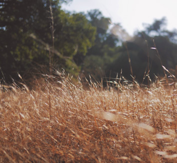 全欧冠军赛开始，谁才是终极夺冠热门？