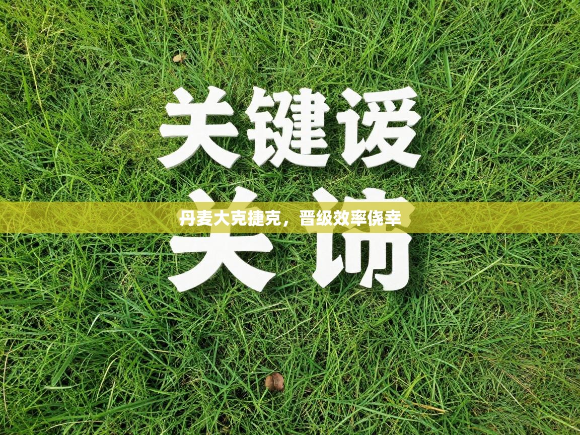 丹麦大克捷克，晋级效率侥幸  第1张